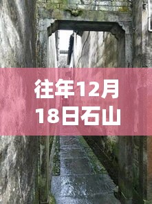新闻动态 第176页