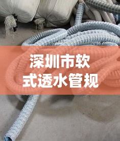 公司简介 第117页