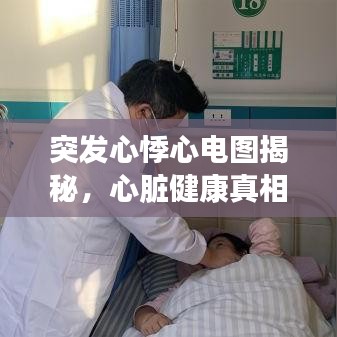 公司简介 第92页