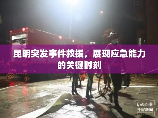 公司简介 第75页