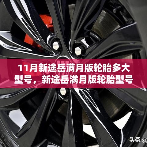 澹泊明志，宁静致远 第4页