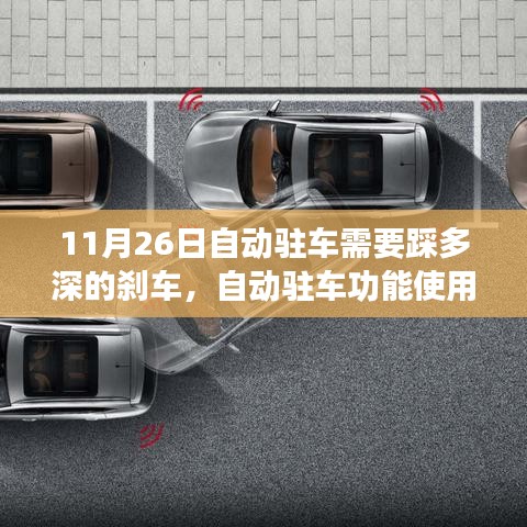 公司简介 第231页