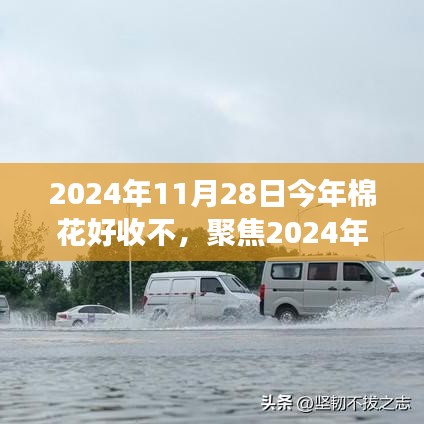 林下风范 第3页