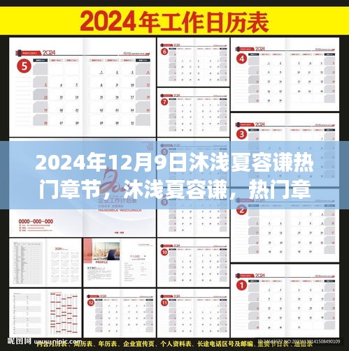 沐浅夏容谦，热门章节背后的故事与独特印记