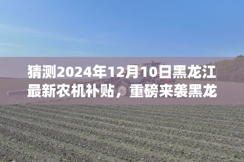 第1562页
