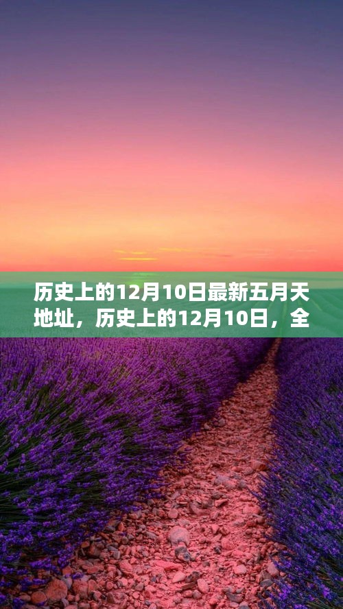 第1559页