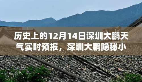 公司简介 第189页