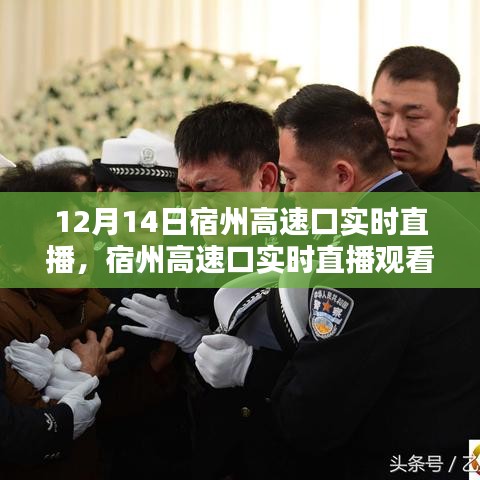 公司简介 第181页
