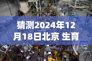东张西望 第3页