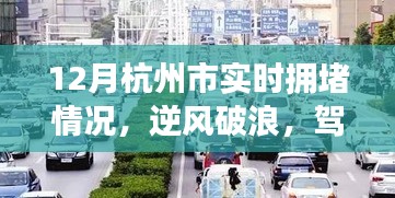 披肝沥胆 第3页
