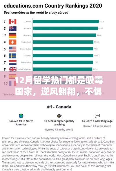 在线留言 第150页