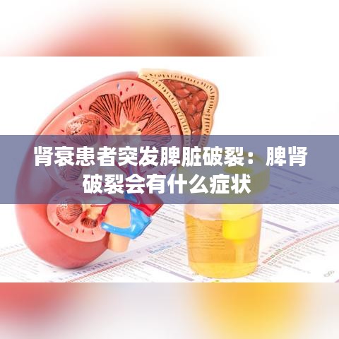 运输网络 第129页
