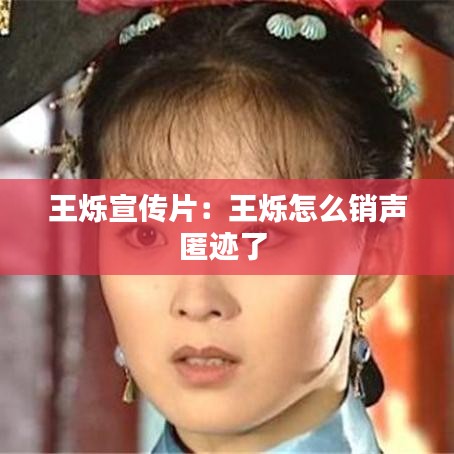 澹泊明志 第2页