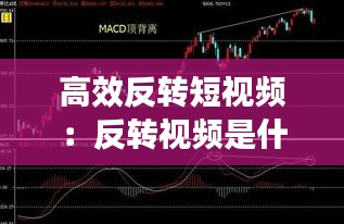 运输网络 第119页