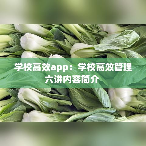学校高效app：学校高效管理六讲内容简介 