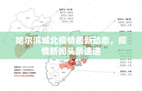 衣无二彩 第2页
