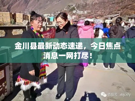 在线留言 第106页