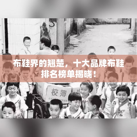 运输网络 第97页