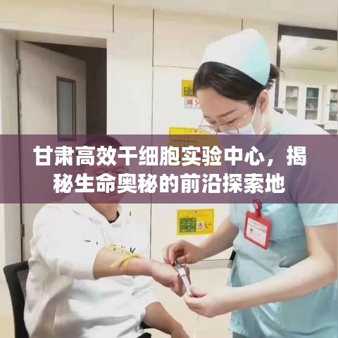 寥若晨星 第2页