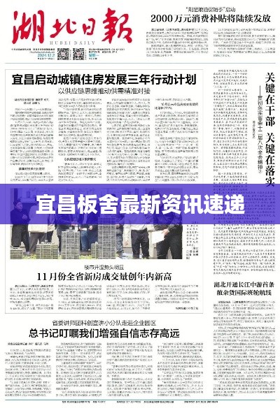 2025年2月 第126页