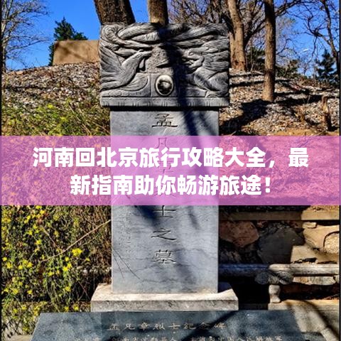 不拘小节 第2页