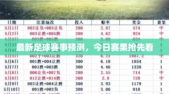 2025年3月 第93页