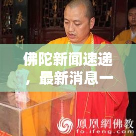 集思广益