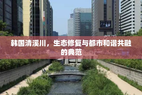 法贵必行