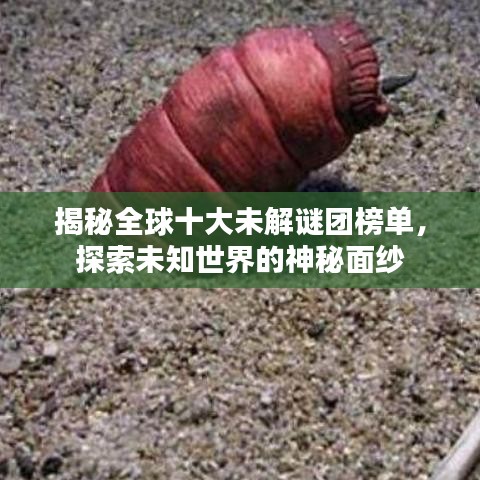 在线留言 第19页