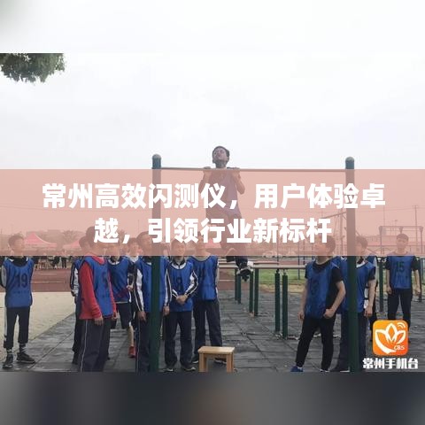 张张屈屈