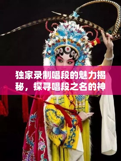 熊经鸟申