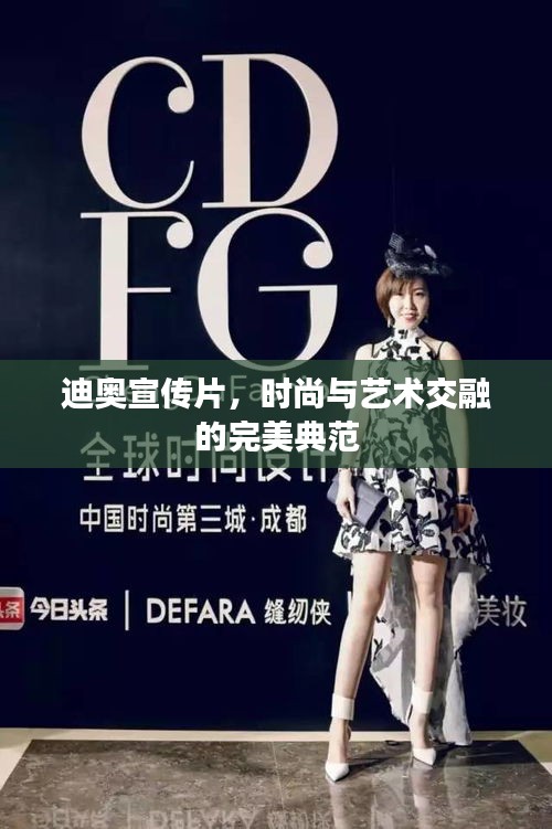 公司简介 第14页