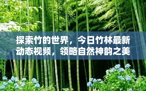 有气无力