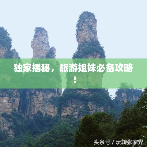 令行禁止