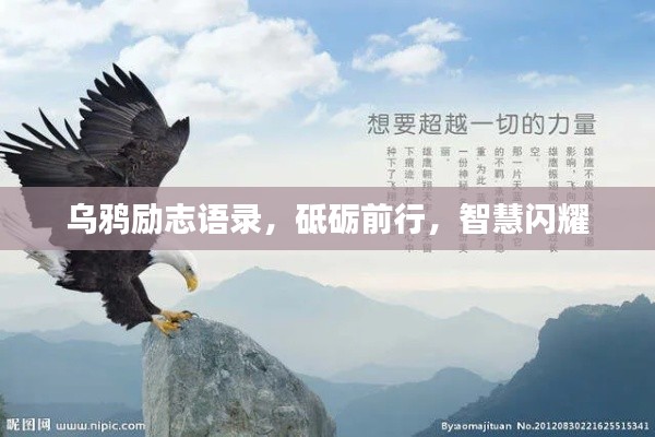 厂房环境 第10页