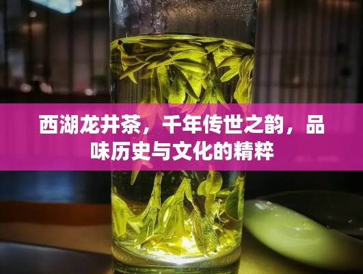 鸟面鹄形