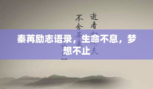 秦苒励志语录，生命不息，梦想不止