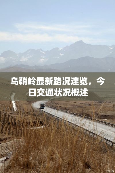 达官贵人