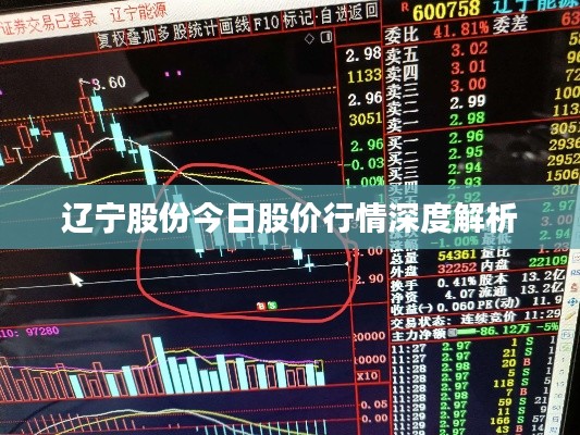 芳兰竟体