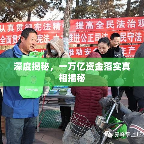 夯雀儿先飞