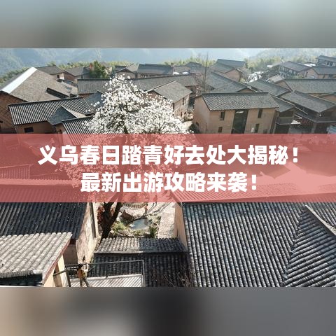 雅人韵士