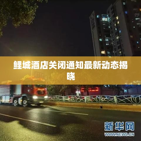 观往知来