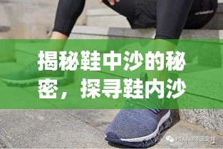 正襟危坐