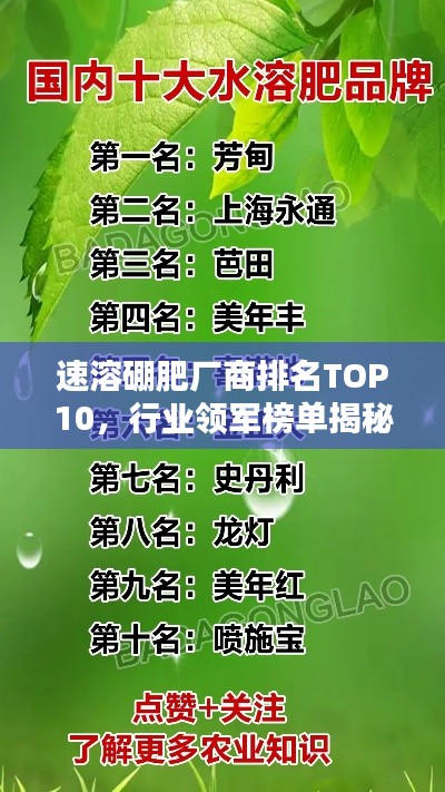 布衣蔬食