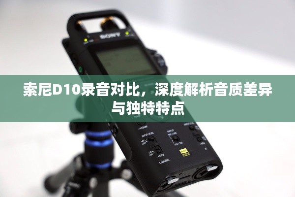 索尼D10录音对比，深度解析音质差异与独特特点