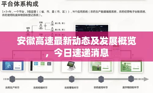 眼张失道