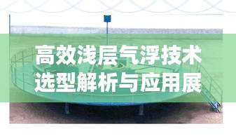 高效浅层气浮技术选型解析与应用展望，应用前景及选型指南