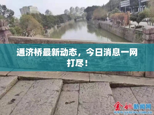 2025年6月 第96页