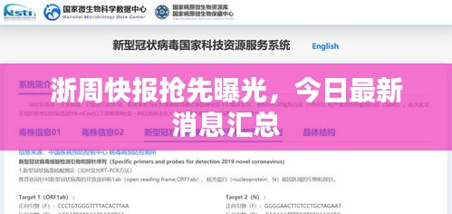 2025年6月 第94页