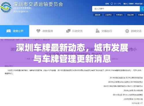 2025年6月 第88页